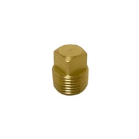 Replacement Brass Garboard Drain Plug