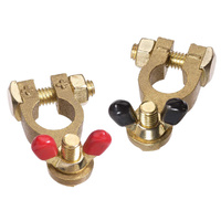Battery Terminals Brass Red and Black Pair