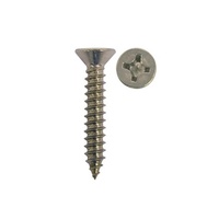 Self Tapping Screws CSK 304-Grade Stainless Steel Packs